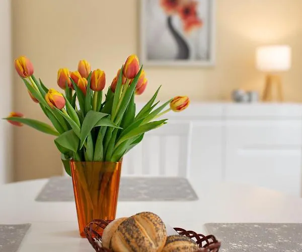 Kaprys Duszniki Zdrój