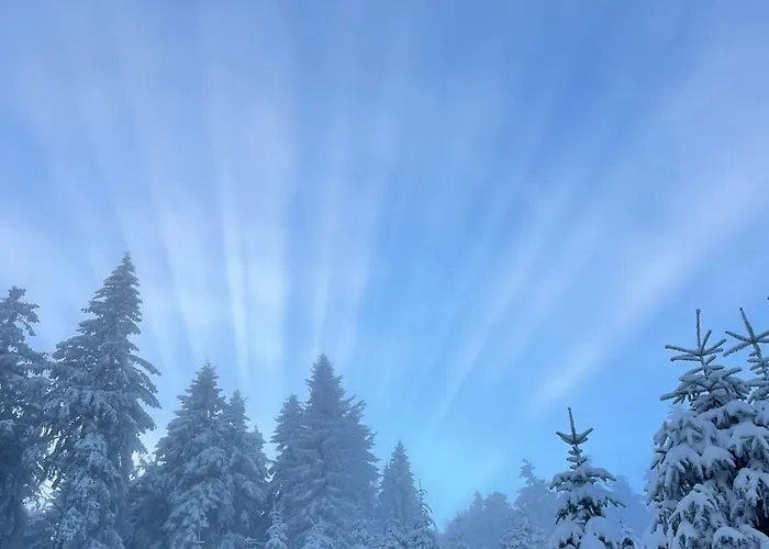 Kaprys Appartement Duszniki Zdrój