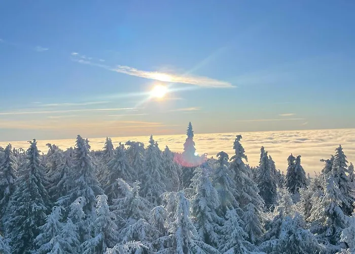 Apartment Kaprys Duszniki Zdrój
