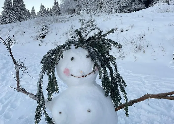 Kaprys Apartment Duszniki Zdrój