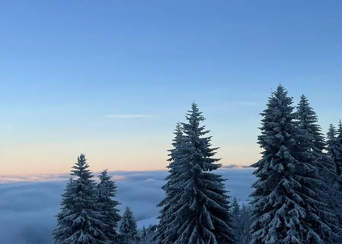 Kaprys Duszniki Zdrój